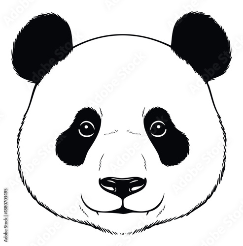 A striking black and white panda head drawing with a friendly expression perfect for animal lover merchandise, childrens book projects, or nature conservation campaigns