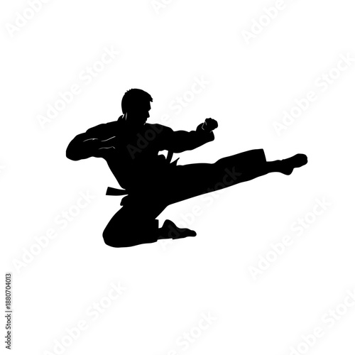 Silhouette of a martial artist performing a high kick.