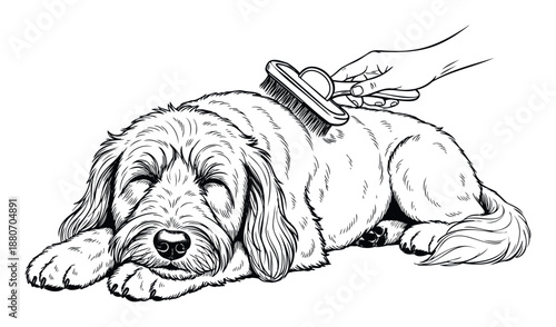 A human hand gently brushes a fluffy dog lying down, illustrating affectionate pet grooming and animal care perfect for veterinary clinics or pet supply advertisements