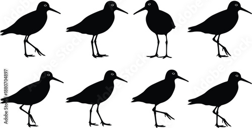 Black bird silhouettes, shorebird walking poses, minimalist wildlife vector, coastal wader collection, isolated on white background, nature illustration design set