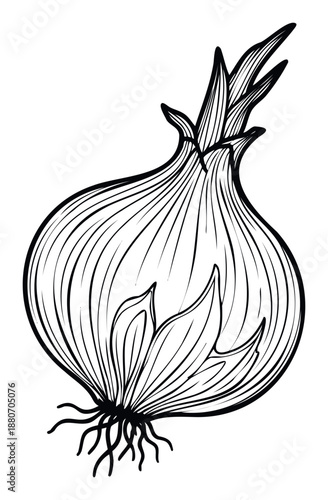 Stylized black outline drawing of an onion bulb with sprouting greens and roots, suitable for foodrelated packaging, recipe books, kitchen decor, or health and cooking blogs.