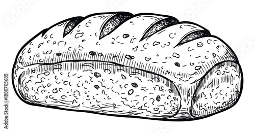 Classic hand drawn loaf of rustic bread featuring a textured crust and scoring, perfect for bakery branding cooking instructions or recipe book visuals.
