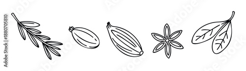 A collection of hand drawn spice and herb outlines including rosemary, cardamom, vanilla, anise, and bay leaves, perfect for food related content, cooking blogs, recipe cards, or ingredient