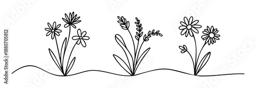 Simple line drawing of various wildflowers and botanical elements growing from a subtle ground line, perfect for enhancing nature themed graphic projects, branding, or decorative accents.