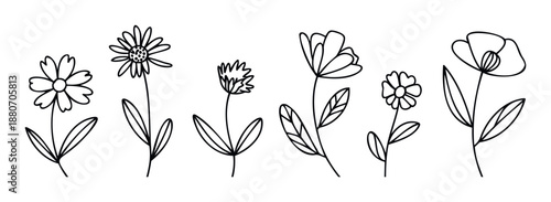 A whimsical collection of outline flower illustrations featuring various botanical shapes and delicate petals, perfect for naturethemed graphic projects and decorative print materials.