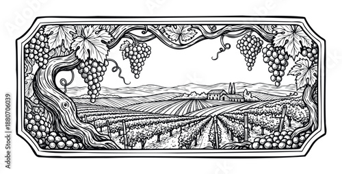 Classic vineyard landscape framed by grapevines and fruit, depicting a traditional wine country scene perfect for labels, menus, or agricultural themes