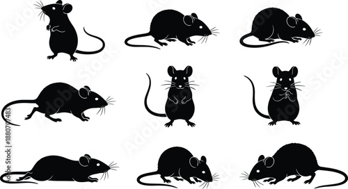 Cute mouse and rat silhouette collection showing different poses, black animal vector illustrations, small rodent characters for design and branding use