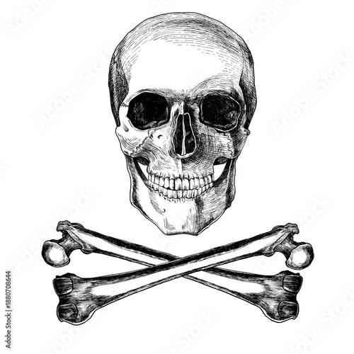 Black and white vintage skull and crossbones illustration in engraved style.Detailed hand-drawn skeleton head with crossed bones. Monochrome vector artwork on transparent background.