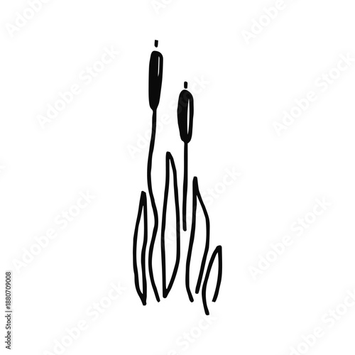 A simple sketch of reeds on a white background