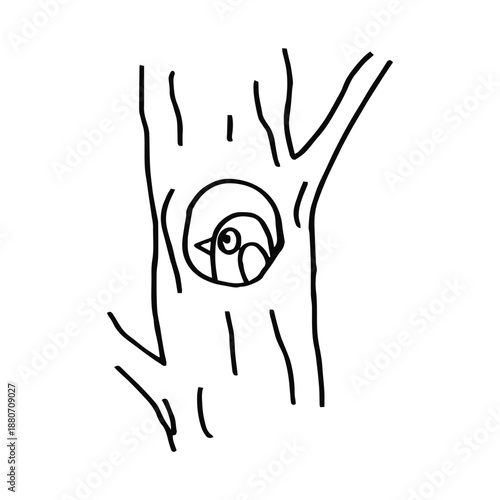 A bird in a tree hollow sketch
