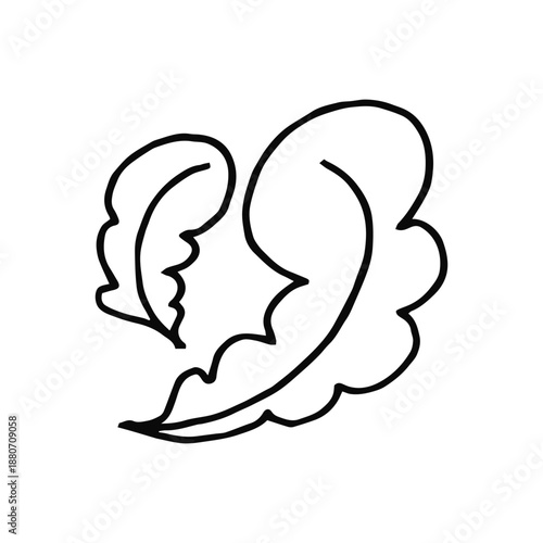 leaflets sketch on a white background