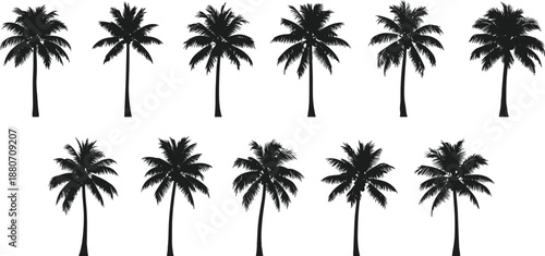 Palm tree silhouette collection isolated on white background tropical nature icons set summer beach landscape black vector illustration