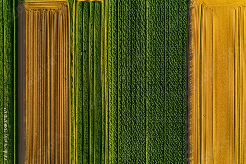 Large farmland stretches wide with green and brown fields under bright sunlight during the day