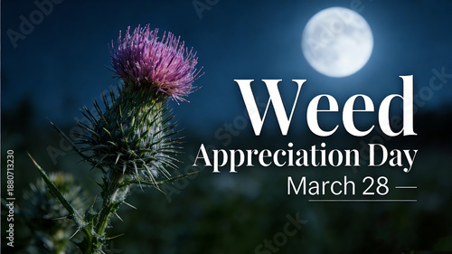 Thistle and Full Moon, Weed Appreciation Day 