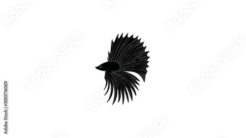 Striking black silhouette of a Siamese fighting fish (Betta) with graceful, flowing fins. Isolated aquatic creature illustration on white.