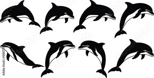 Dolphin silhouettes collection marine mammals swimming isolated black vector ocean wildlife illustration set