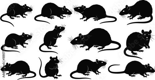 Rat silhouettes collection rodents animals isolated black vector pest wildlife illustration set graphic design