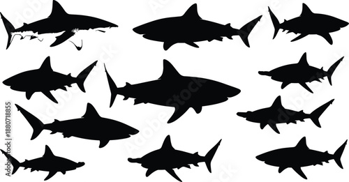 Shark silhouettes collection ocean predators isolated black vector marine wildlife illustration set bundle graphic design