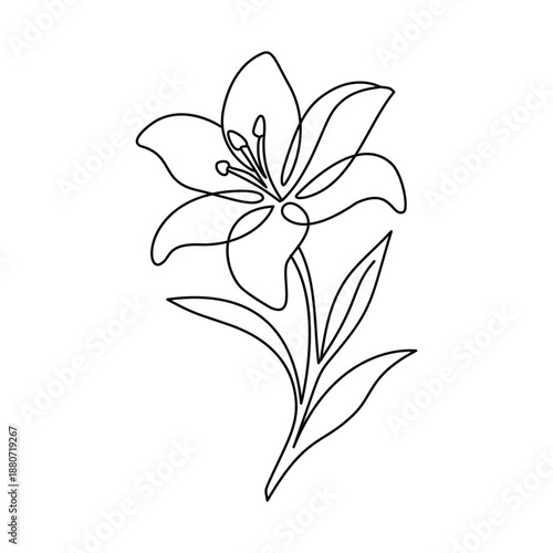 Minimalist Lily Flower Line Art Illustration