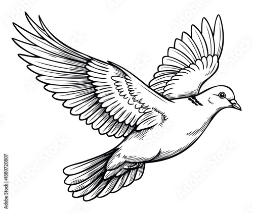 Graceful flying dove symbol of peace and hope rendered in classic monochrome sketch style perfect for religious, spiritual, or tranquil design projects