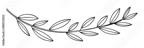 Minimalist black line drawing of an olive branch with delicate leaves arranged in a graceful curve, perfect for elegant branding, wedding invitations, ecofriendly product packaging, or