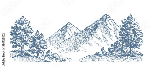 Vintage line art drawing of majestic mountains with pine trees and rolling hills.
