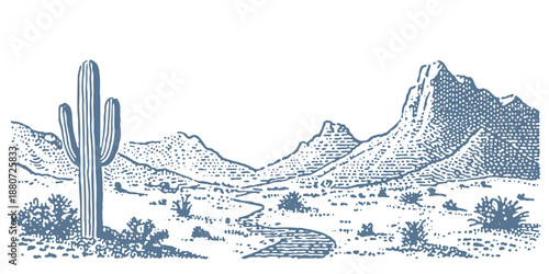 Vintage desert landscape with saguaro cactus and mountains in a sketchy, engraved style.