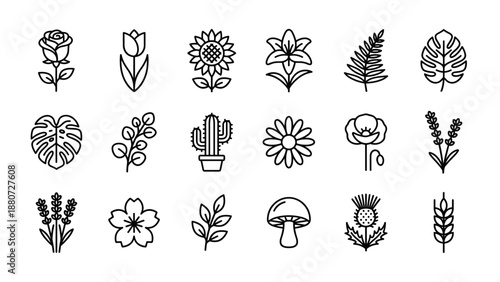 Set of 16 minimalist flower and botanical plant line icons. Vector floral nature symbols. Garden leaf, blossom, stem elements. Simple outline style. Ecology, spring and summer concept.