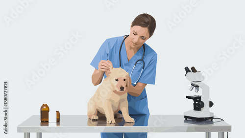 Veterinarian clinic scenes set. Female vet examining cute puppy dog. Doctor performing surgery. Consultation with owner. Animal hospital healthcare checkup. Medical treatment bundle.