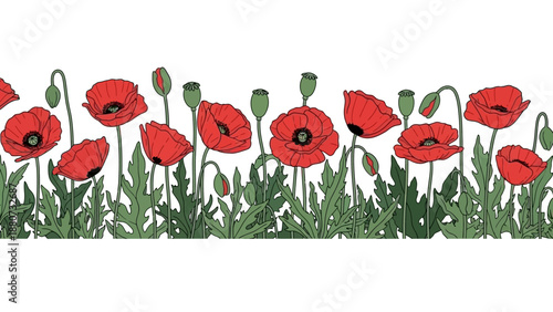 Seamless Border of Red Poppies and Green Leaves on a White Background