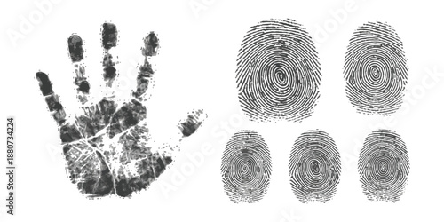 Gritty black handprint and realistic fingerprint patterns vector illustration set for identity and security concepts