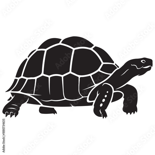 Black Silhouette of a Tortoise with Detailed Shell Pattern on a White Background