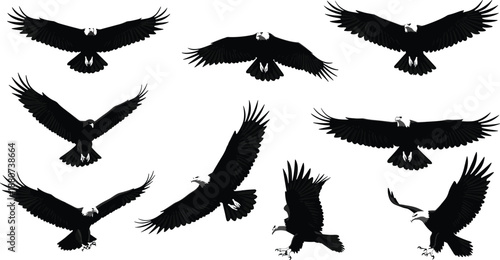 Eagle silhouette flying set, bald eagle in flight, vector birds of prey, majestic wildlife icon, freedom concept, raptor illustration