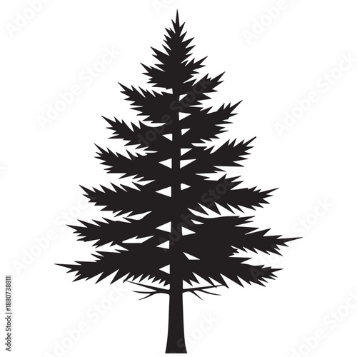 Stylized Black Silhouette of an Evergreen Pine Tree