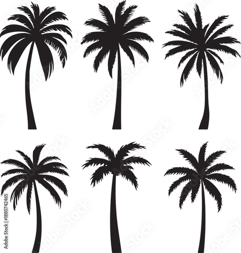 Plam Tree silhouette Vector