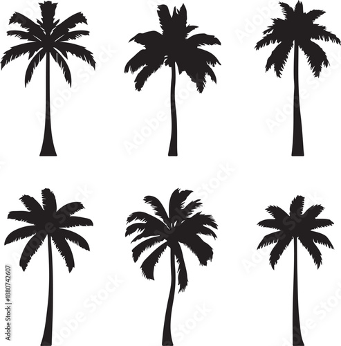 Palm Tree Silhouette, Silhouette Plam Tree vector Plam tree design, palm tree silhouette Plam Tree Vector Icon, tropical palm trees icon
