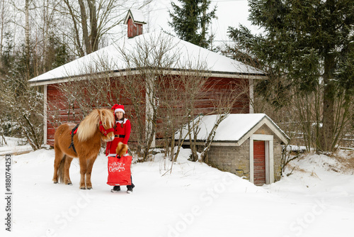 Merry Christmas theme horse and Santa's helper in winter scenery. Icelandic horse and Christmas elf. 
