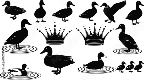 Black duck silhouettes collection, vector set of waterfowl, crowns and ripples, wildlife icons, minimal flat design isolated on white background illustration graphic bundle