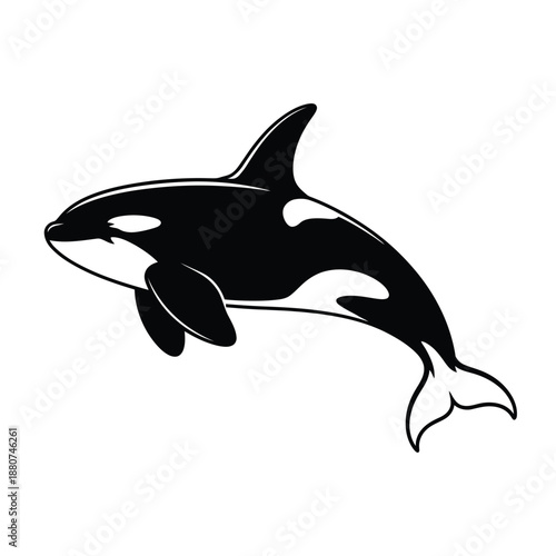 A striking black and white orca illustration swimming gracefully through water