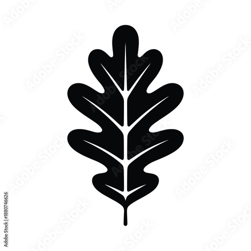 Silhouetted oak leaf illustration simple botanical design in black and white