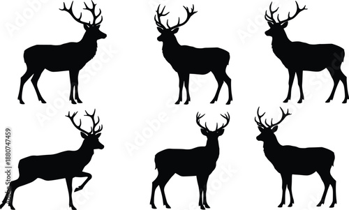 Deer silhouettes set, antler variations, wildlife vector illustration, forest animal icons, hunting design elements, stag profile collection, nature art illustration