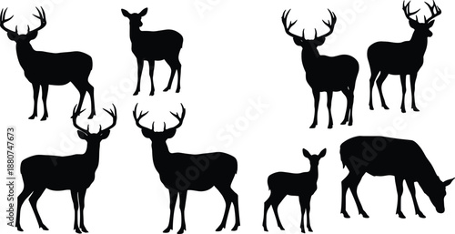 Deer silhouettes set, male and female profiles, antler and non‑antler variations, wildlife vector icons, forest animal illustration, hunting design collection