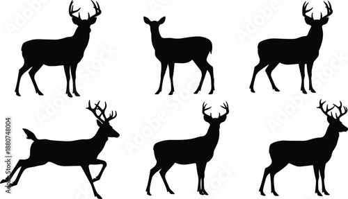 Deer and stag silhouette set, forest wildlife animal illustration, antlered buck and doe poses, vector design for nature scenes