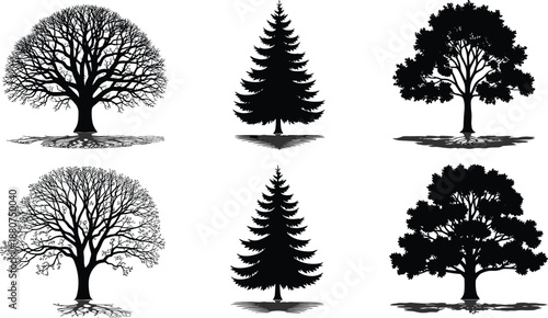 Detailed tree silhouette collection featuring oak and pine shapes, natural forest elements, botanical illustration set for landscape design and nature projects