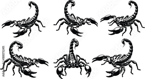 Detailed scorpion vector illustration set with aggressive poses, venomous stinger, sharp claws, dangerous arachnid designs for tattoo, logo, and graphic artwork