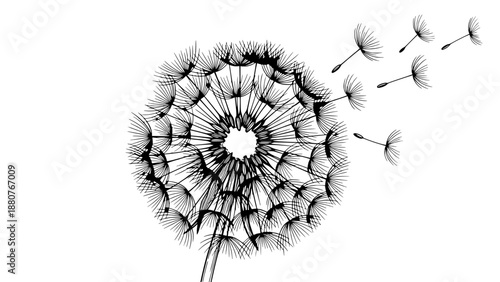 Top-down view of a dandelion seed head dispersing seeds in the wind with geometric lines