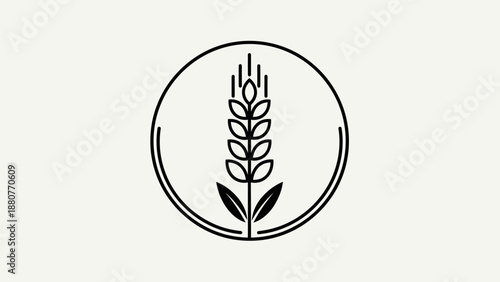 Clean Wheat Ear Logo Design in a Circle Symbolizing Organic Grains in Bright Studio