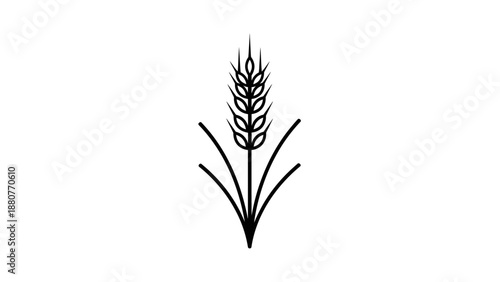Minimalist Single Wheat Ear Silhouette Representing Natural Organic Grains on Isolated White Background