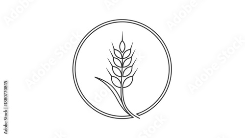 Simple Outline of a Wheat Stalk within a Circular Frame, Symbolizing Agriculture and Natural Harvest, Isolated White Background.