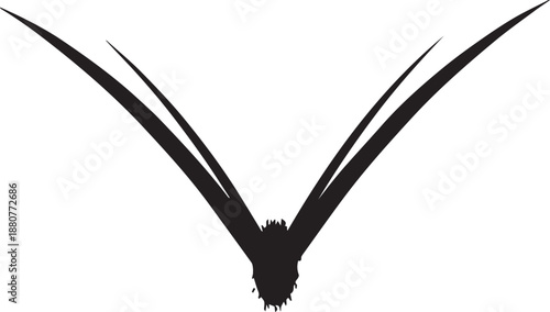 Elegant black eyelash extensions on white background